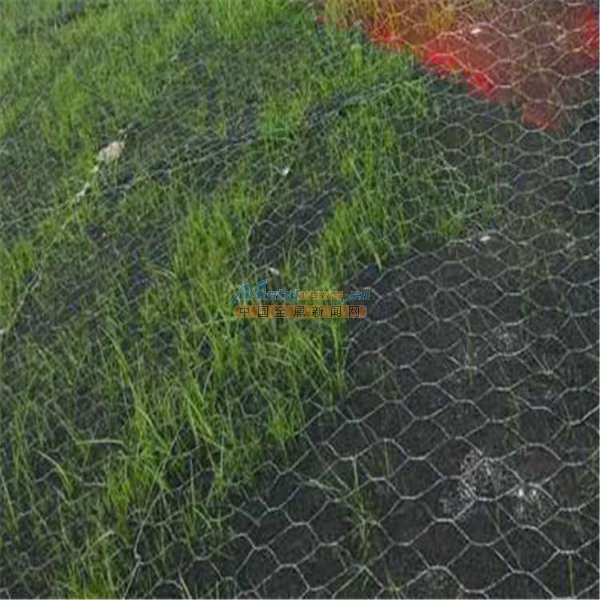 廣西加筋麥克墊護(hù)坡與防洪植草的應(yīng)用